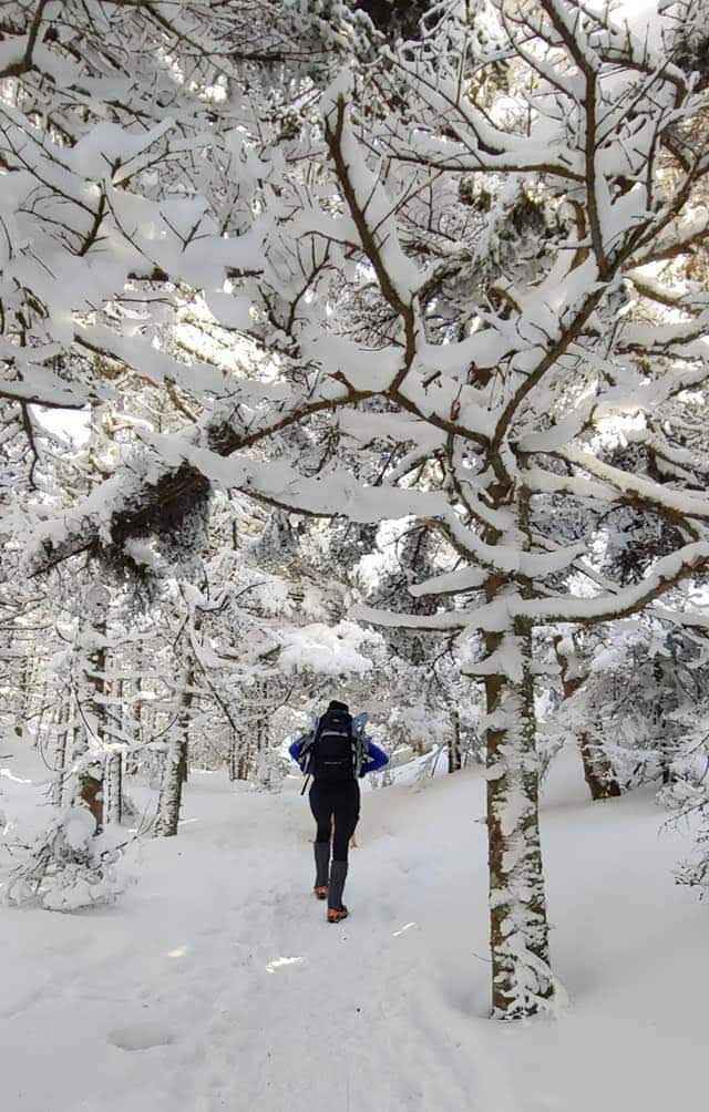 Ruthie in the trees.jpg